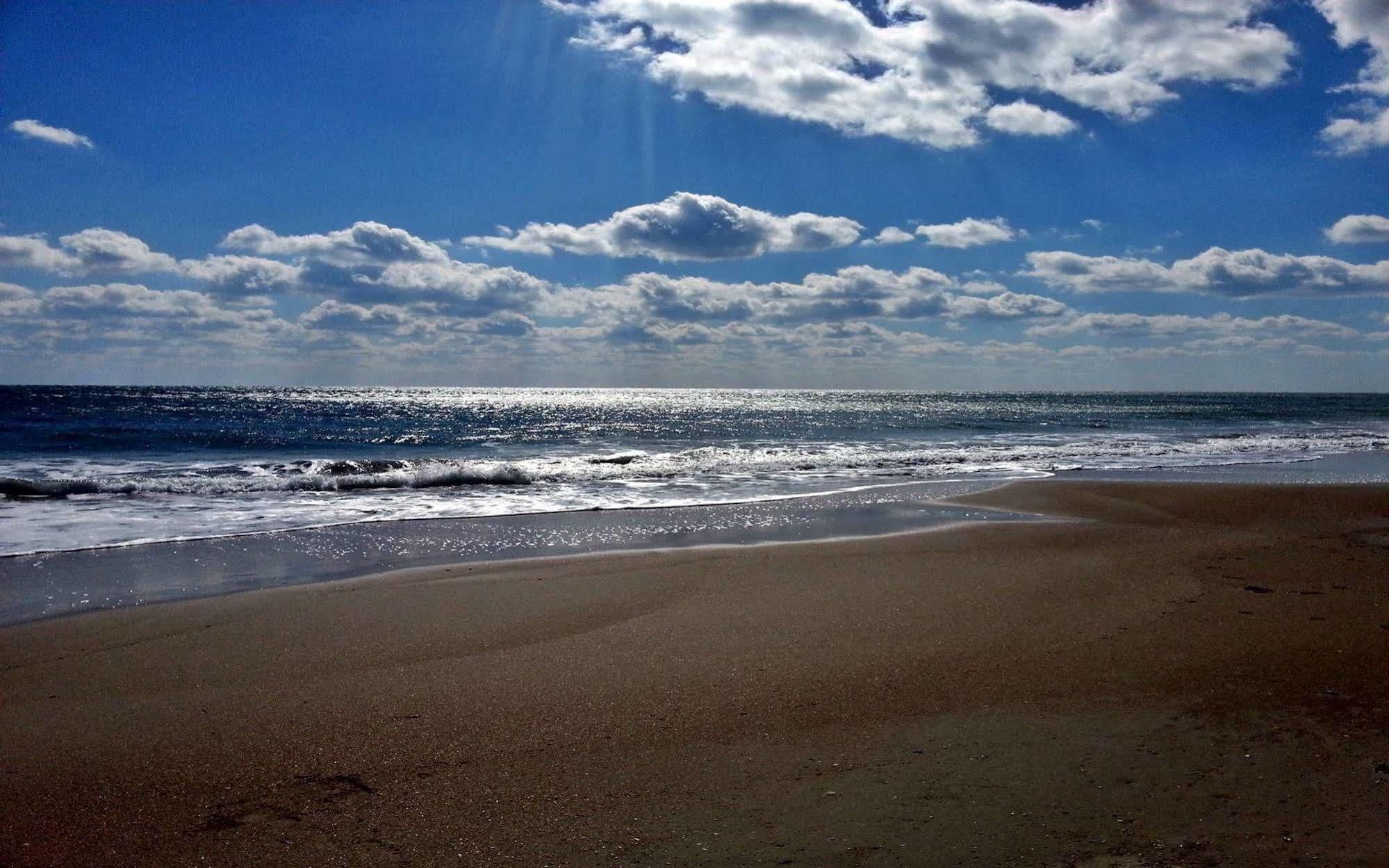 Ocean Beach Hotel Taean Εξωτερικό φωτογραφία